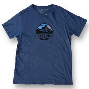 Patagonia パタゴニア USA製 プリント Tシャツ 古着 フィッツロイ
