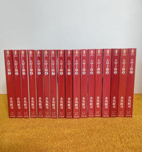 初版多数 大甲子園 文庫版 全巻セット 1巻~17巻 水島新司 著