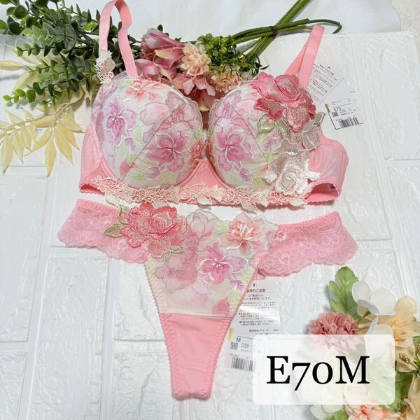 【新品】wacoal サルート 06グループ ブラ ソングセット E70M PI ワコール salute Tバックショーツ ベトナムの花嫁