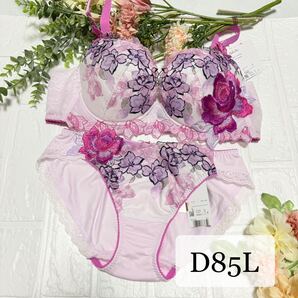 【新品】wacoal サルート 06 ブラ ショーツセット D85L PU ワコール salute ベトナムの花嫁 店舗限定 リッチヴェール