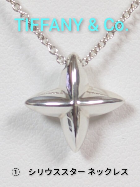 ①【TIFFANY&Co.】 ティファニー エルサ・ペレッティ シリウススター ネックレス シルバー925(箱・保存袋付き)