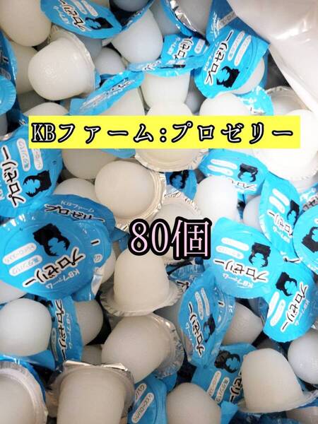 人気昆虫ゼリー KBファーム製昆虫ゼリー プロゼリー16g 80個カブトムシ クワガタ 小動物 モモンガ ハムスター ハリネズミ等