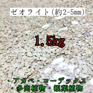 高品質ゼオライト1.5kg 根腐れ防止 土壌改良 テラリウム 多肉植物 サボテン 観葉植物 魂根植物 アクアリウム 水耕栽培 砂利