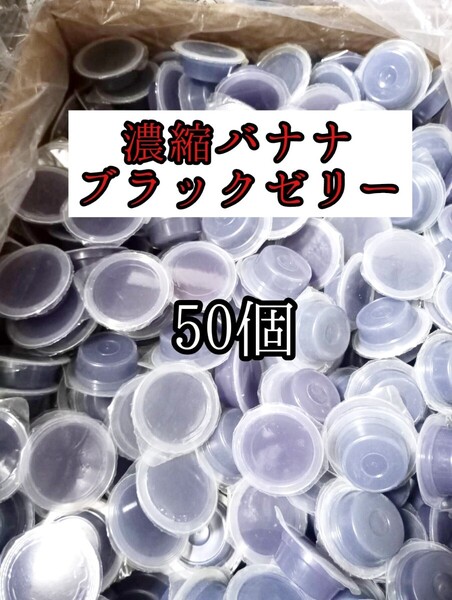 昆虫ゼリー フジコン 濃縮バナナブラックワイド16g 50個 クワガタ カブトムシ オオクワガタ フクロモモンガ ハムスター ハリネズミ 小動物