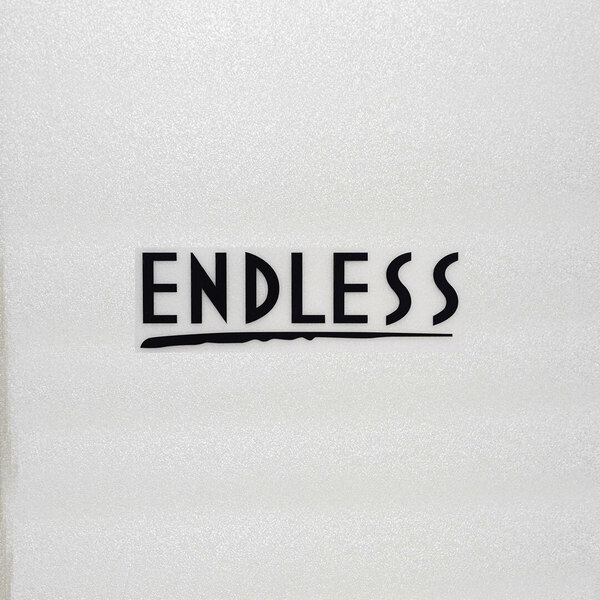 新品・未使用☆ENDLESS エンドレス カッティングステッカー ブラック 1枚 縦33mm×横110mm |切り文字|切文字|新品|送料無料|匿名配送