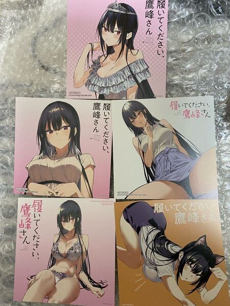 履いてください、鷹峰さん アニメイト アニメ化 フェア特典 購入特典ミニ色紙 イラストカード5種セット 復刻