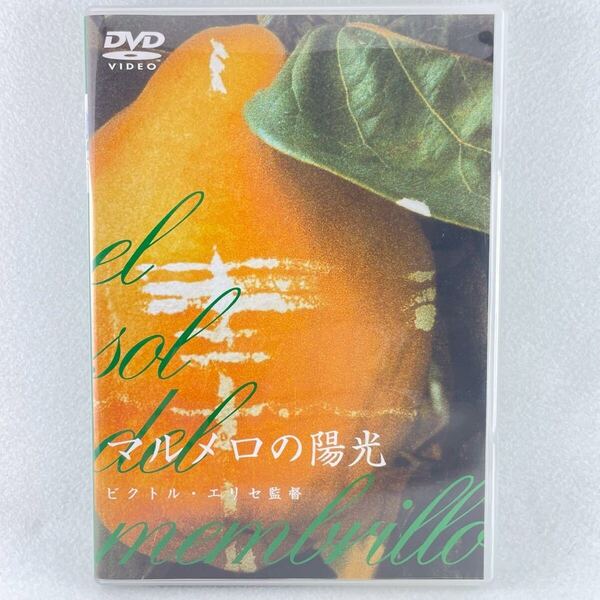 廃盤DVD 稀少 マルメロの陽光 セル版/監督:ビクトルエリセ/アントニオ・ロペス=ガルシア/マリア・ロペス 他/92'スペイン映画/AD147
