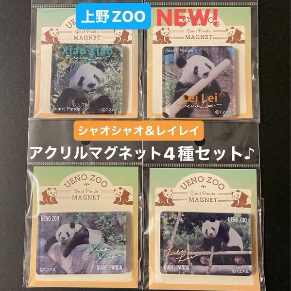 【新品・未開封】 シャオシャオ レイレイ 双子パンダ アクリルマグネット全4種セット 上野動物園 新商品 シャンシャン