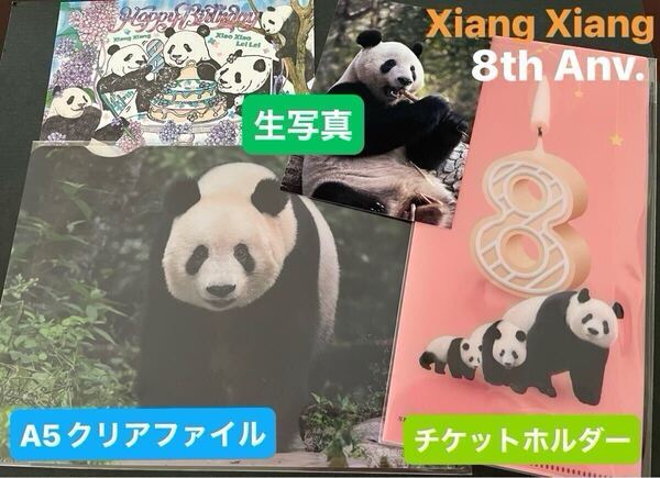 シャンシャン 8歳記念 クリアファイル & チケットホルダー 非売品 上野松坂屋 + スタンプラリーカード・香香生写真 リーリー シンシン