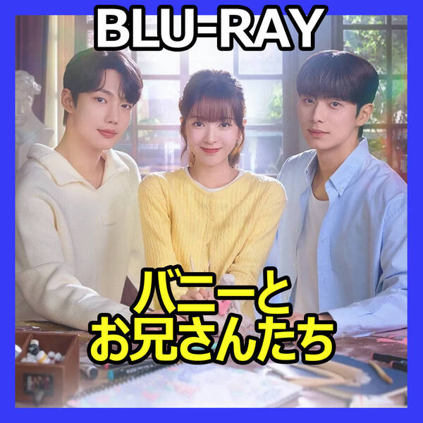 B951 バニーとお兄さんたち 韓国ドラマ Blu-ray
