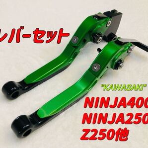 NINJA250 NINJA400可倒式ブレーキレバーセット ブラック/グリーン