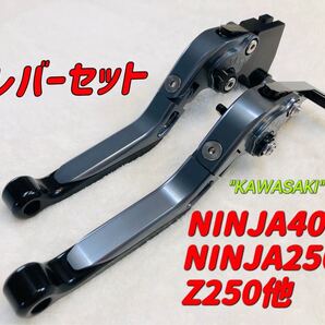NINJA250 NINJA400可倒式ブレーキレバーセット ブラック/チタンカラー