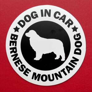 犬(バーニーズマウンテンドッグ)マグネット ステッカー 防水 車用【匿名配送】