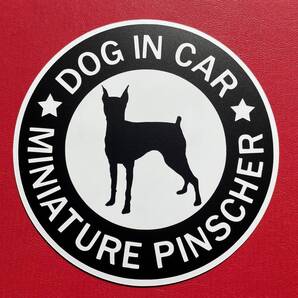 犬(ミニチュアピンシャー BK )マグネット ステッカー 防水 車用【匿名配送】