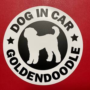 犬(ゴールデンドゥードル)マグネット ステッカー 防水 車用【匿名配送】