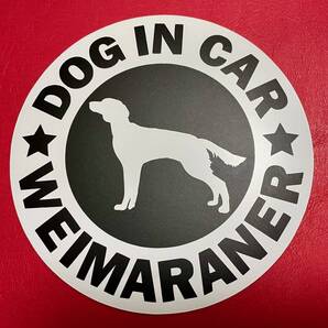 犬(ワイマラナー ロング)マグネット ステッカー 防水 車用【匿名配送】
