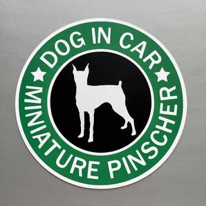 犬(ミニチュアピンシャー)スタバ風 マグネット ステッカー 防水 車用【匿名配送】