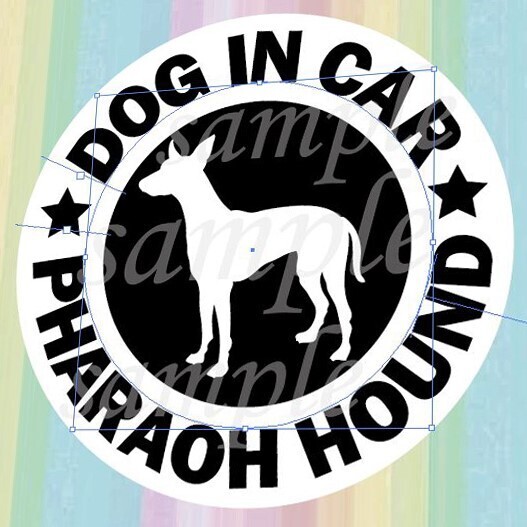 犬(ファラオハウンド)マグネット ステッカー 防水 車用【匿名配送】