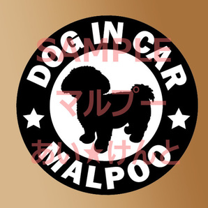 犬【マルプー】黒 マグネット ステッカー 防水 車用【匿名配送】