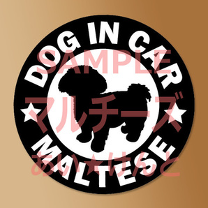 犬【マルチーズ】黒 マグネット ステッカー 防水 車用【匿名配送】