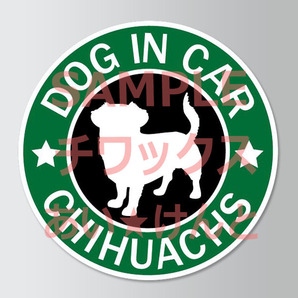 犬(チワックス )スタバ風 マグネット ステッカー 防水 車用【匿名配送】