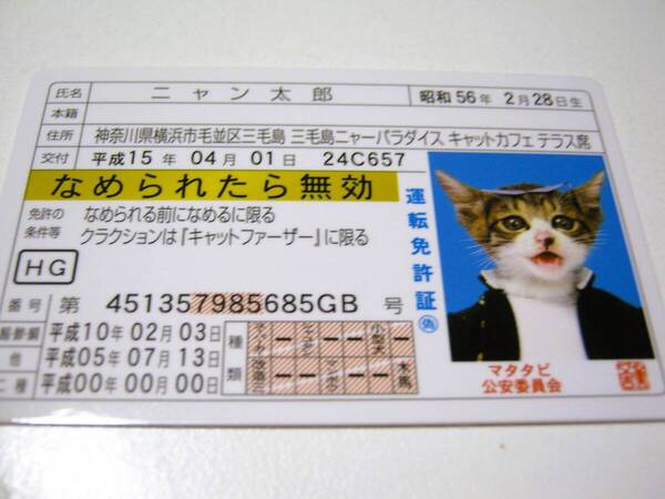 【なめ猫 免許証風 ブロマイド ニャン太郎】なめんなよ猫 なめねこ 癒し 癒やし ゴールド免許 かわいい 可愛い ネコ 猫 コスプレ トレカ