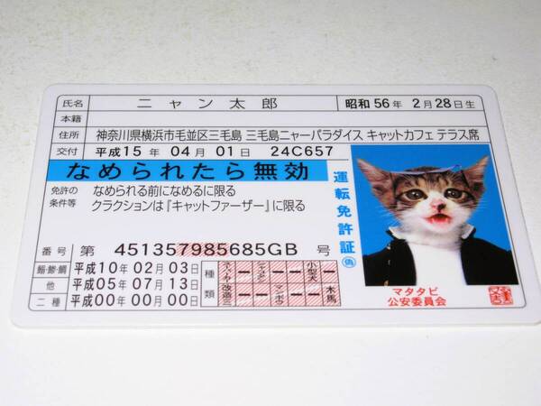 【なめ猫 免許証風 ブロマイド ニャン太郎】なめんなよ猫 なめねこ 癒し 癒やし かわいい 可愛い ネコ 猫 コスプレ トレカ 癒し系