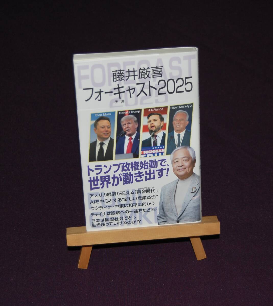 Yahoo!オークション -「藤井厳喜フォーキャスト2025」(本、雑誌