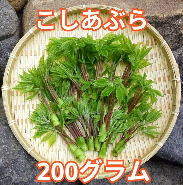 天然 こしあぶら 200g 岐阜県