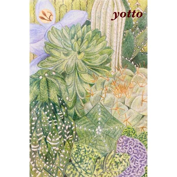 色鉛筆画「 多肉植物 」ポストカードサイズ・額付き◇◆手描き◇原画◆多肉植物◆yotto