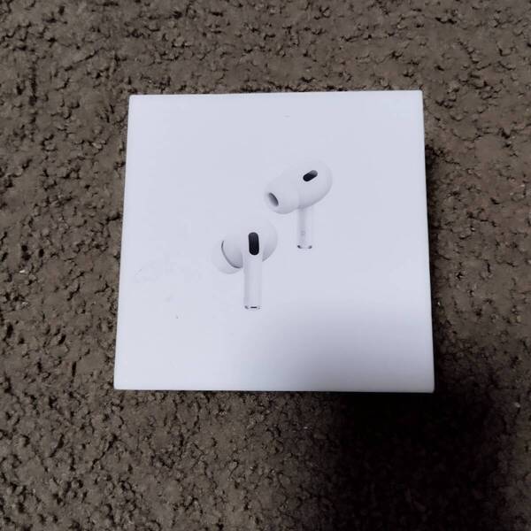 Apple AirPods Pro 2世代 USB C MagSafe MTJV3J/A A2968 A3047 A3048 完動品 中古品