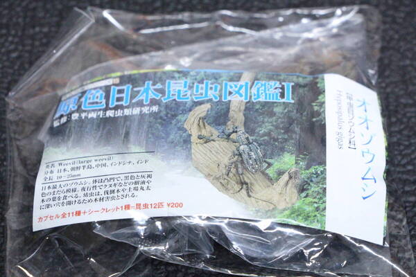 送料無料 ★ 原色図鑑シリーズ15 原色日本昆虫図鑑Ⅰ オオゾウムシ ユージン