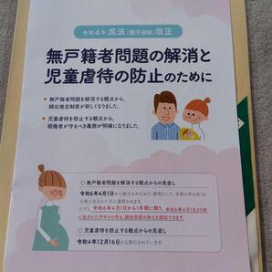 無戸籍者問題解消法改正資料 児童虐待の防止のために