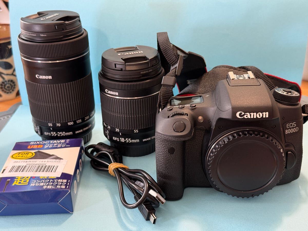 2025年最新】Yahoo!オークション -canon eos 8000dの中古品 2025年最新】Yahoo!オークション -canon eos 8000dの中古品