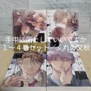 【送料無料】【即決】手中に落としていいですか 1~4巻セット/くれの又秋