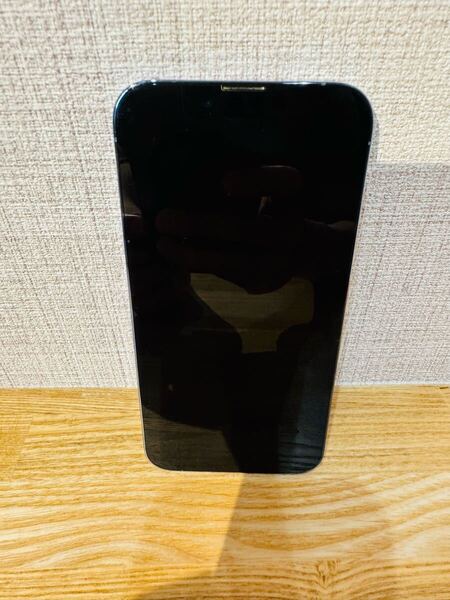Apple iPhone13 Pro 256GB シエラブルー バッテリ85% ケース付き