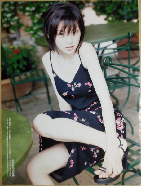 田中麗奈 グラビア 雑誌 ランダム 切り抜き セット③