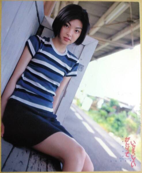 田中麗奈 グラビア 雑誌 ランダム 切り抜き セット②
