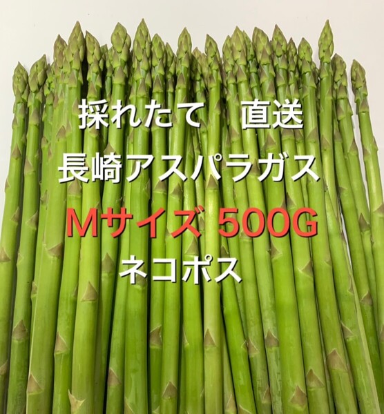 長崎産アスパラガスMサイズ 500グラム