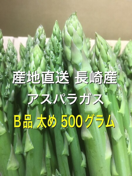長崎産アスパラガスB品 太め 500グラム