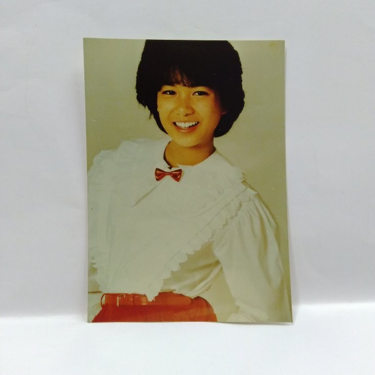 堀ちえみ 超大量 240P ファイル 4冊 切り抜き 1982年〜1987年