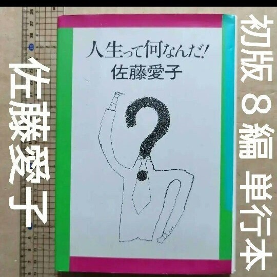 佐藤愛子 人生って何なんだ!