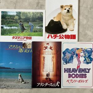 映画犬名作5冊セット ヘブンリーボディーズ マリリンに逢いたい フランダースの犬 ハチ公物語 タスマニア物語 映画パンフレット 動物映画