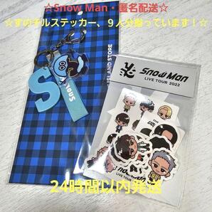 ☆匿名配送☆SnowMan すのチル ステッカー スノラボ ロゴキーホルダー