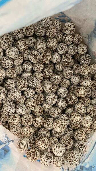 フィルターろ材濾過材、水質浄化抜群 ろ材高品質納豆菌パワーボール3L 新品送料込み金魚 熱帯魚 水草 メダカ 淡水魚 アロワナ ダトニオ