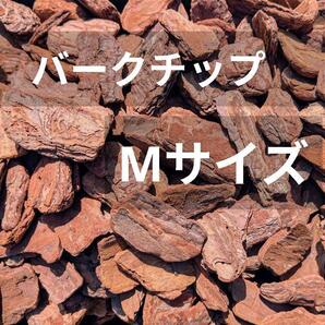 バークチップ Mサイズ 350g程 ゆうパケットポストいっぱい分 送料無料