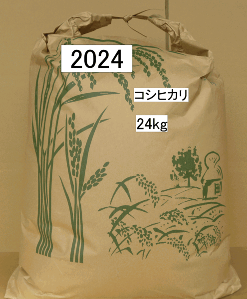 農薬未使用 コシヒカリ24kg No3 玄米