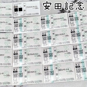【競馬】安田記念 馬券 現地単勝馬券 東京競馬場