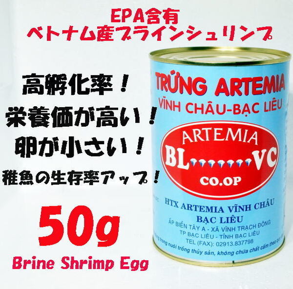 EPA含有 最高品質 ベトナム産 ブラインシュリンプ エッグ 50g 孵化率95%以上 ブラインシュリンプ