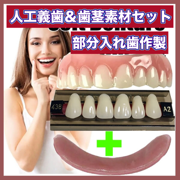 部分入れ歯 人工義歯上顎全6本 歯茎素材1個 部分義歯 義歯 高級義歯 入れ歯 差し歯 仮歯 付け歯 歯科 デンタル TX